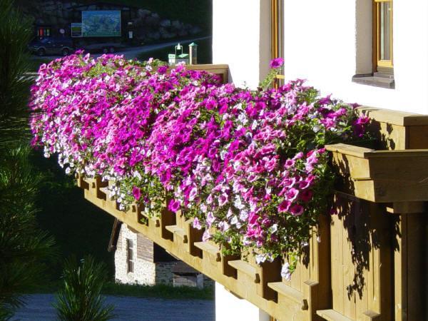 Haus Granbichler Daire Vent Dış mekan fotoğraf